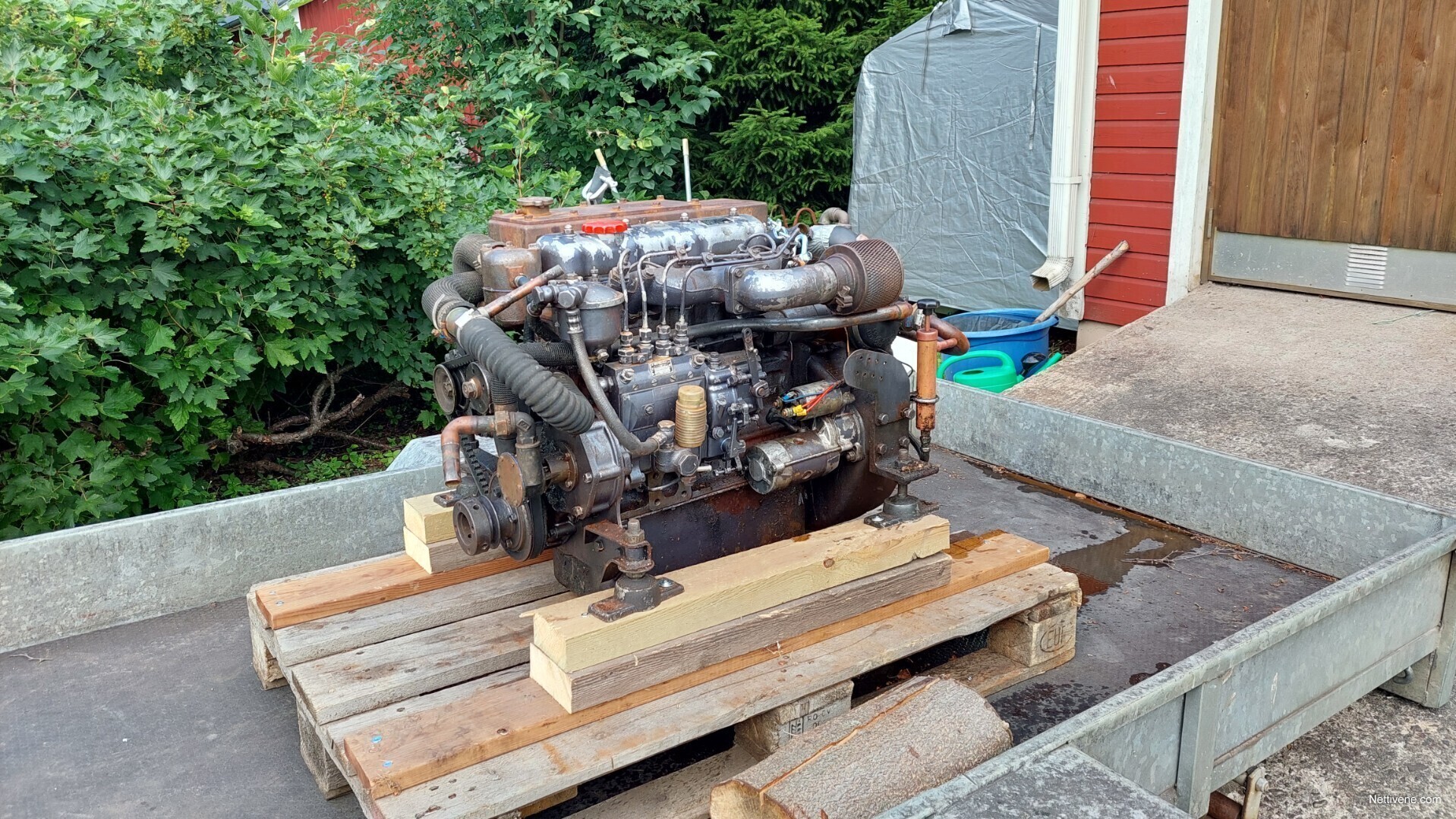 Mitsubishi Dq Engine Raahe Nettivene