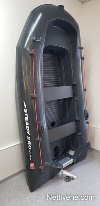 Pioner Steady 260