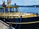 Teräsvene Lohisiimavene