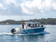 Quicksilver 705 Pilothouse **UUTUUS**