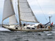 Muu merkki Koopmans 54