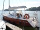 Delphia 28