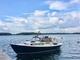 Nordic 81