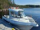 Quicksilver Pilothouse 580