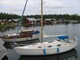 Hallberg-Rassy Monsun 31