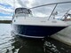 Sea Ray 245 DA DIESEL