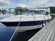 Bella FALCON 26