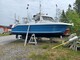 Arvor 230