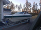 Campion Allante 185