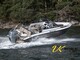 Silver EAGLE BR