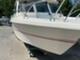 Marino 61 MC