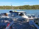Albatross 29