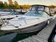 Sea Ray 235 Weekender