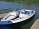 Bayliner