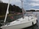 Albin Scampi 30