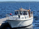 Muu merkki Tainari 815