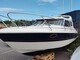 Bella Falcon 26