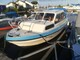 Bella 660