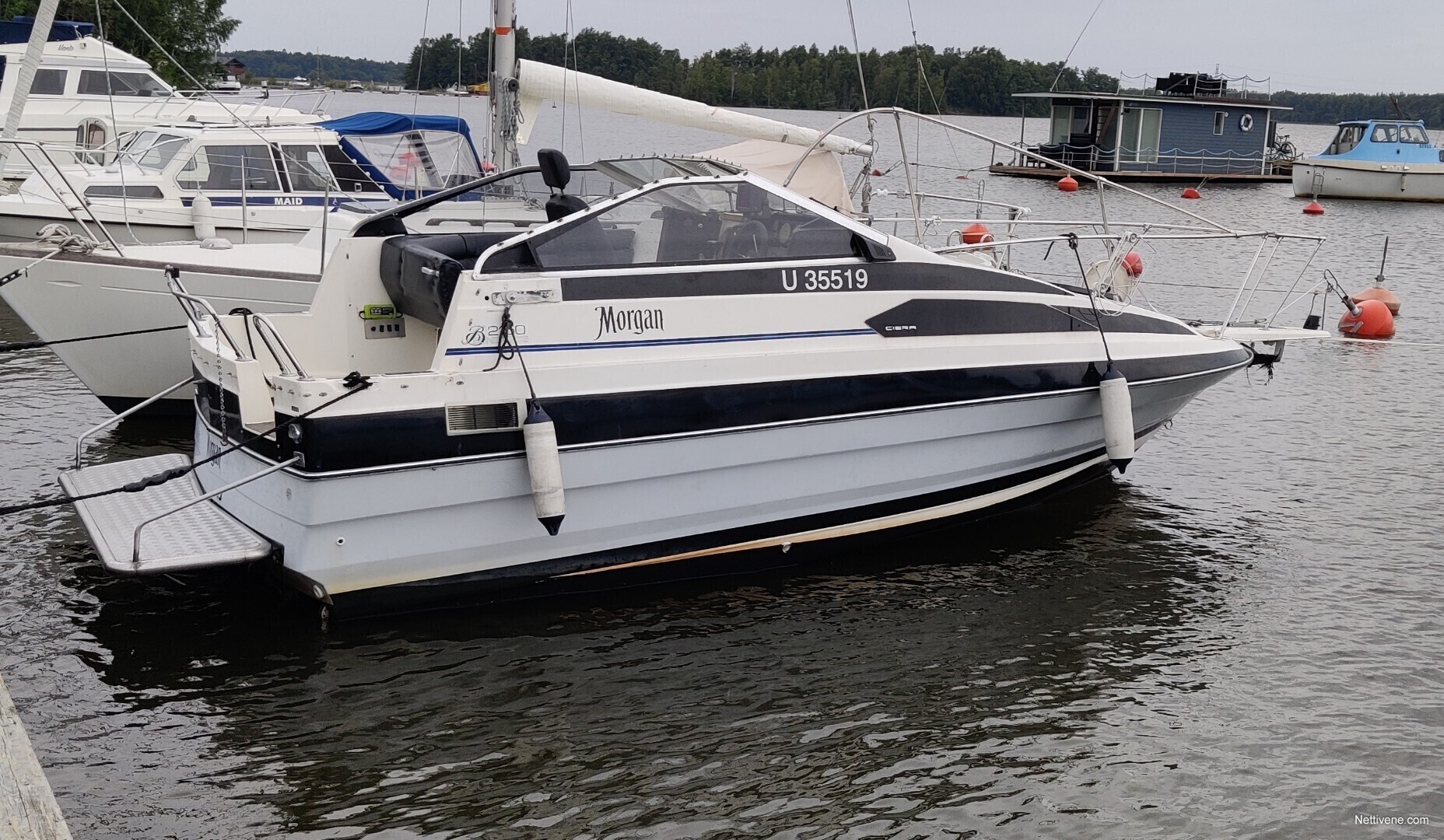 bayliner-2150-ciera-sunbridge-moottorivene-1989-pori-nettivene