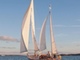 Mahonkivene Enderlein Scandinavian Queen