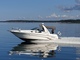 Sea Ray Sundancer 290/315