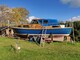 Family Cruiser