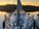 Bavaria 32 Cruiser