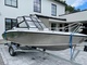 Silver Shark