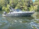 Anytec 622 SPD