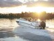 Flipper 800 DC Ennakkomyynnissä
