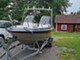 Silver Hawk 540