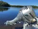 Terhi Nordic 6020