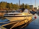 Sunbird 218