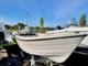 Terhi Nordic 6020C
