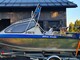 Silver Hawk HT Fish