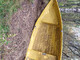 Terhi