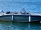 Silver Wolf Avant 510