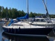 BlueBird