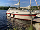 Medusa 26