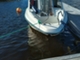 Yamarin Bug Catch 560