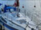 Sunwind 26