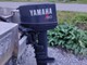 Yamaha AM 30 L
