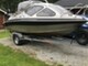 Silver Dorado Hawk 540 Fish