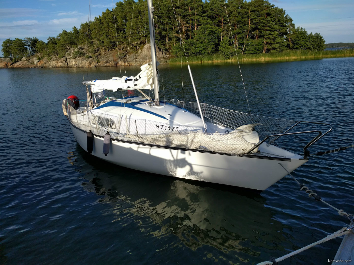 scampi sailboat