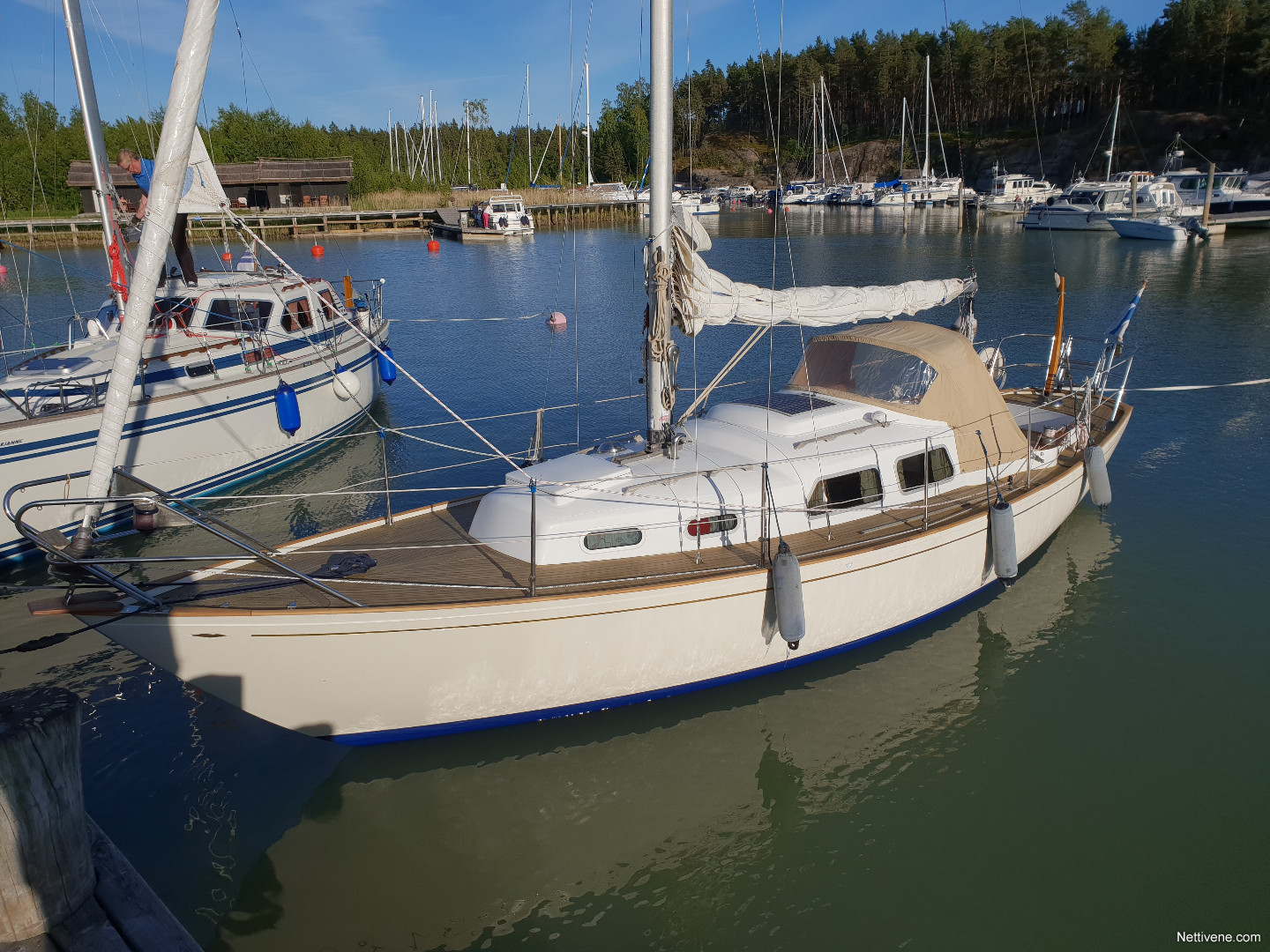 arietta 31 segelboot