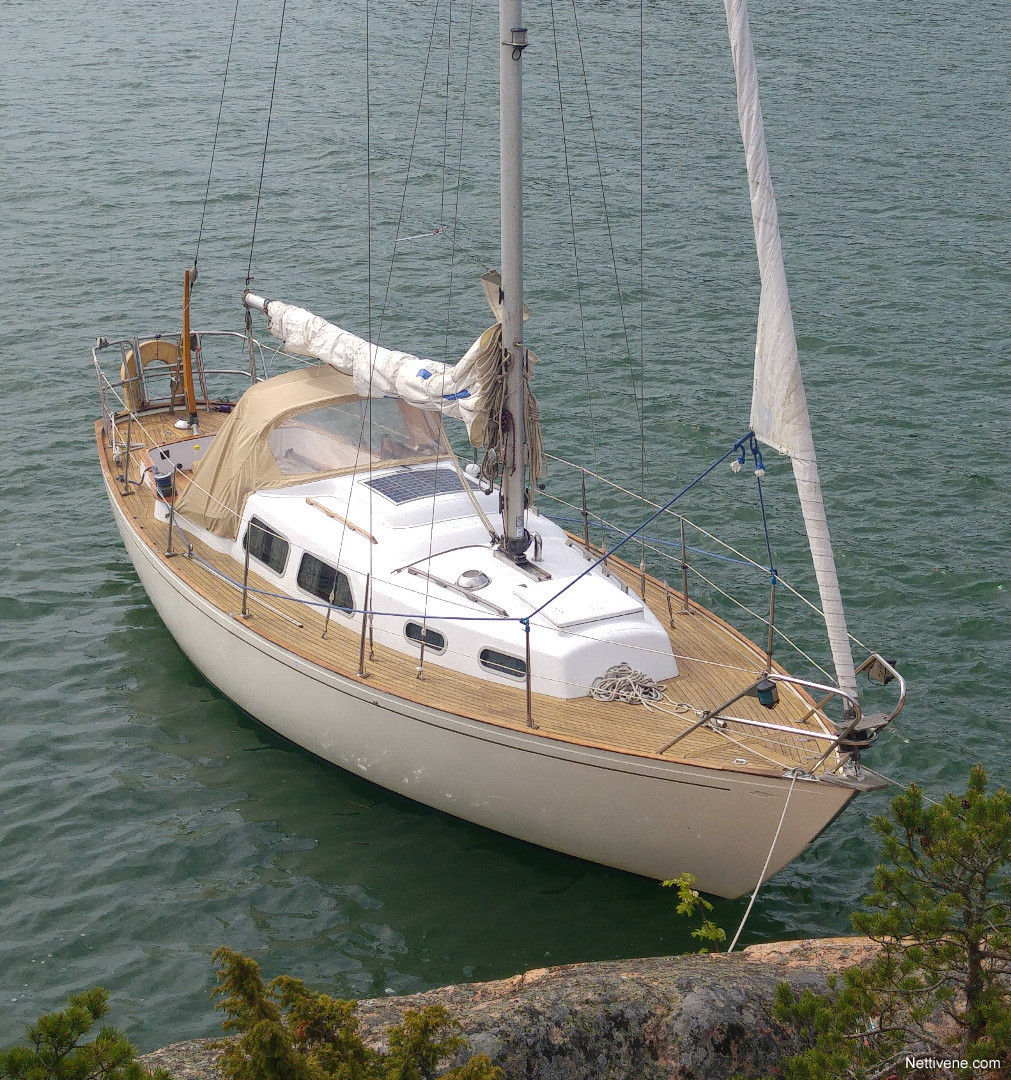 arietta 31 segelboot